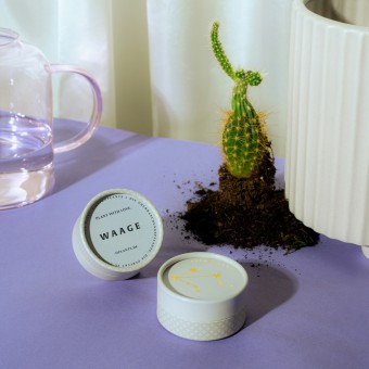 Astroplants - Waage - Pflanzensamen