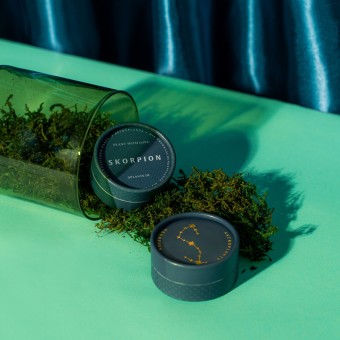 Astroplants - Skorpion - Pflanzensamen