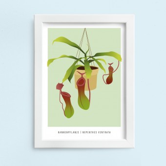Hey Urban Monkey - A4 Poster - „Kannenpflanze“