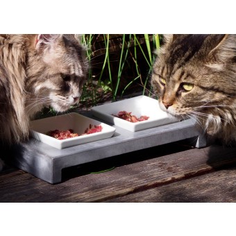Beton Katzennapf MauMauz Ovisproducts DOPPELNAPF