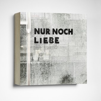 FrankfurterBubb
Nur noch Liebe Foto-Kachel