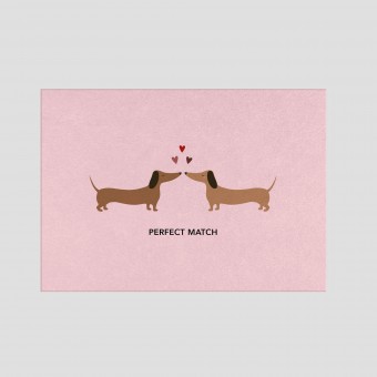 Postkarte - Dackel Perfect Match - Nr. 305 - Naturbedacht