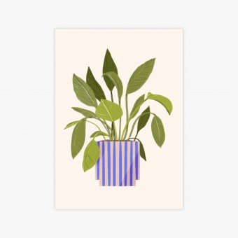 Topfpflanze / Print A4, A5 / Svea Hansohn Illustration