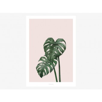 typealive / Tropical No. 9