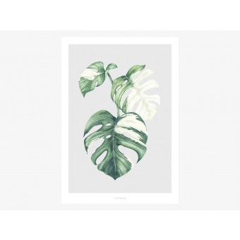 typealive / Tropical No. 5