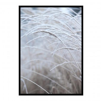 nahili ARTPRINT / POSTER "white & calm" Gräser Fotografie (DIN A1/A3 & 50x70cm)