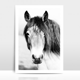 Amy & Kurt Berlin Artprint "Wild Horse"