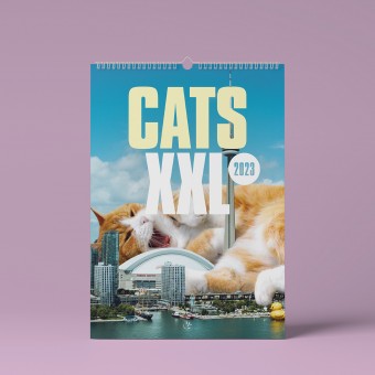 "CATS XXL" Fotokalender 2023