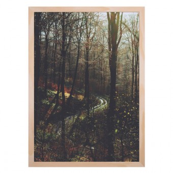 Human Empire Herbstwald Print (A3)
