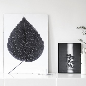 nahili ARTPRINT / POSTER "look closer HIBISCUS - black"  (DIN A1/A3 & 50x70cm) Blatt Botanic Fotografie 