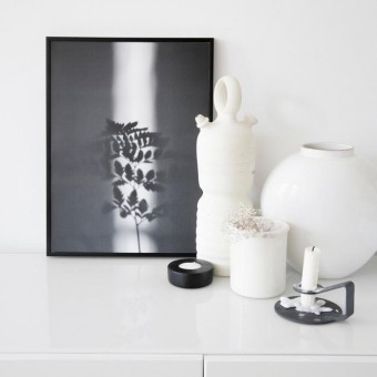 nahili ARTPRINT/POSTER "ray of SUNLIGHT" Pflanzen Farn Fotografie (DIN A1/A3 & 50x70cm)