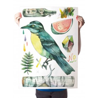 Martin Krusche – Poster »Kolibri« 50x70cm, Illustration