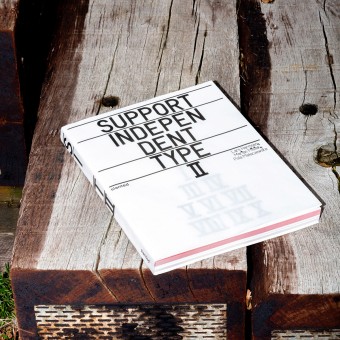 Support Independent Type II