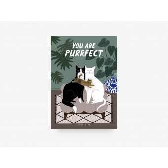 typealive / Pin / You Are Purrfect