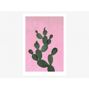 typealive / Kaktus No. 3