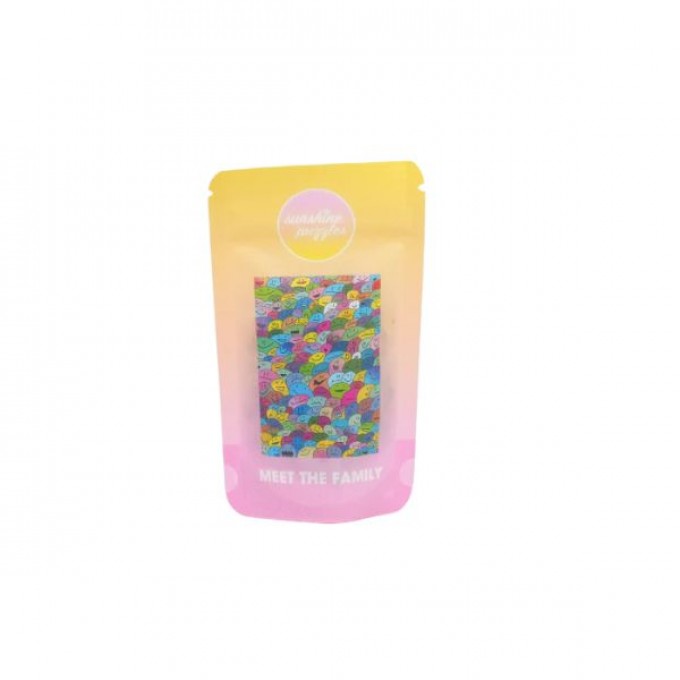 SUNSHINE PUZZLES: MEET THE FAMILY, 99 TEILE MINI PUZZLE