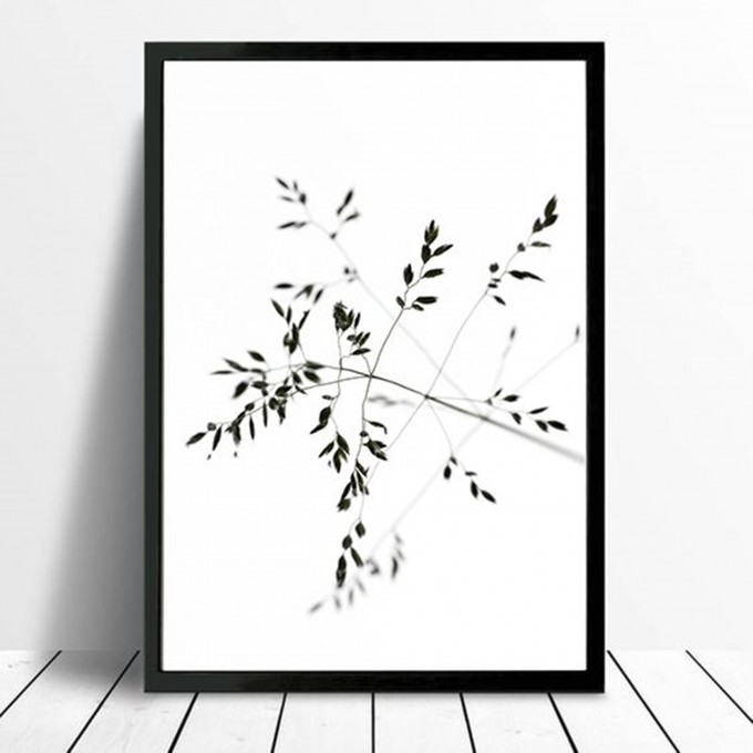 nahili ARTPRINT/POSTER "delicate moment" (DIN A1/A3 & 50x70cm) Fotografie 