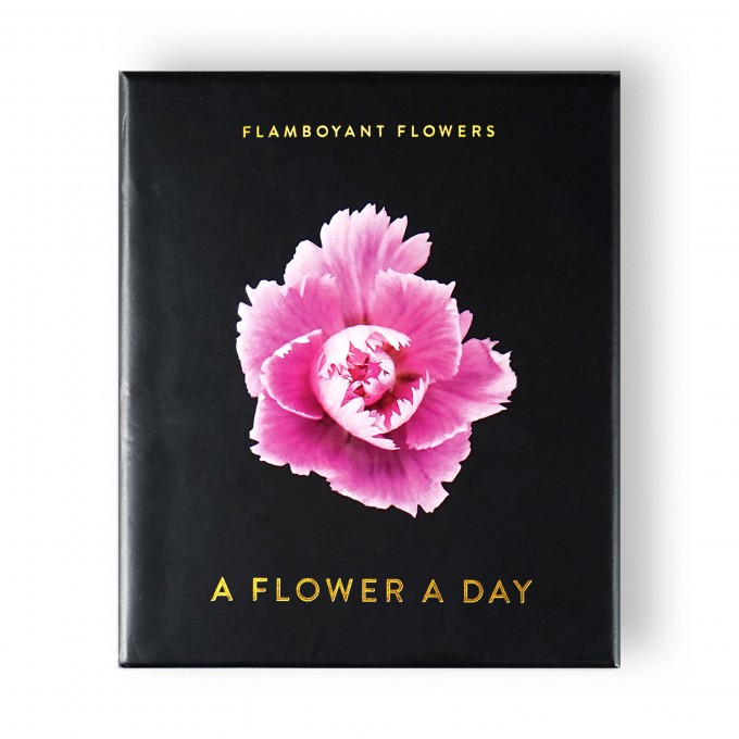A Flower A Day – Flamboyant Flowers (Tagesabreißkalender)