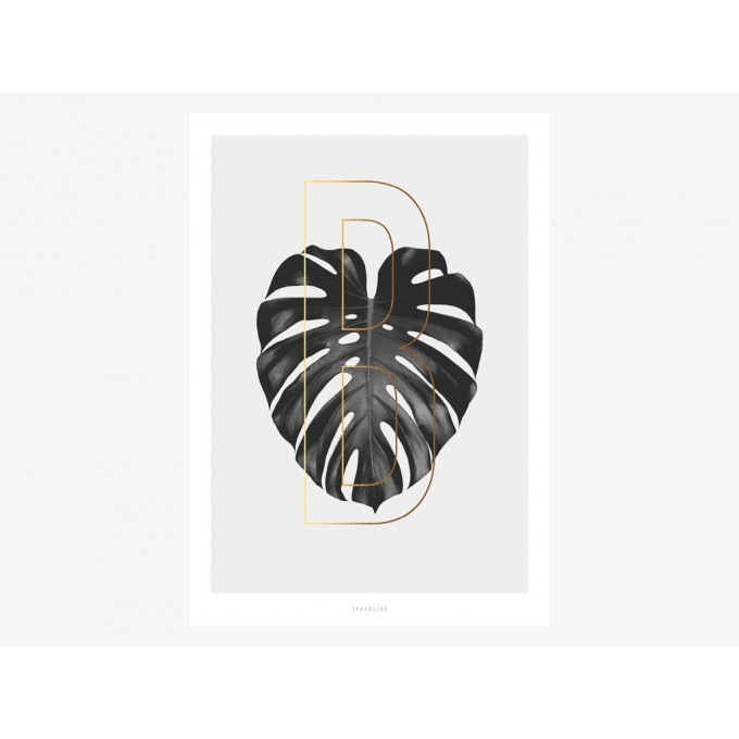 typealive / ABC Plants - B