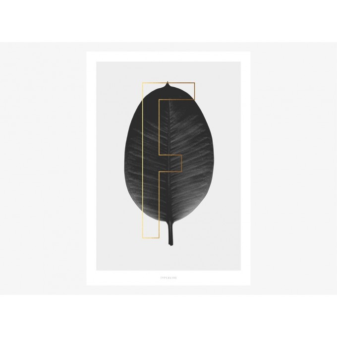typealive / ABC Plants - F
