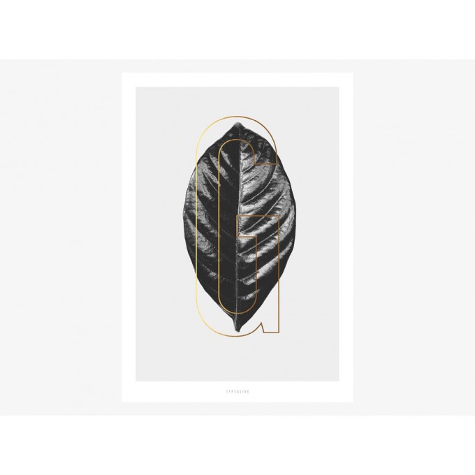 typealive / ABC Plants - G