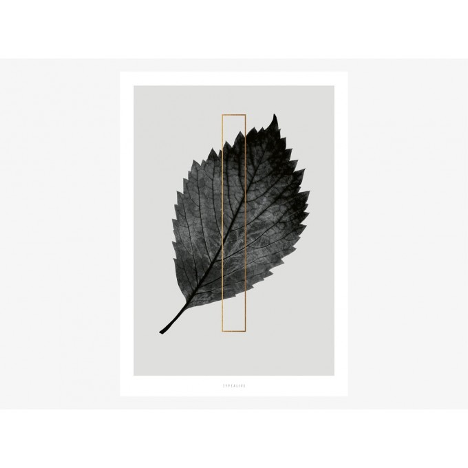 typealive / ABC Plants - I