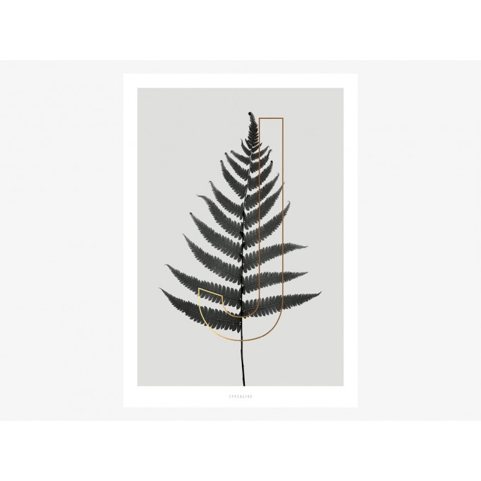 typealive / ABC Plants - J