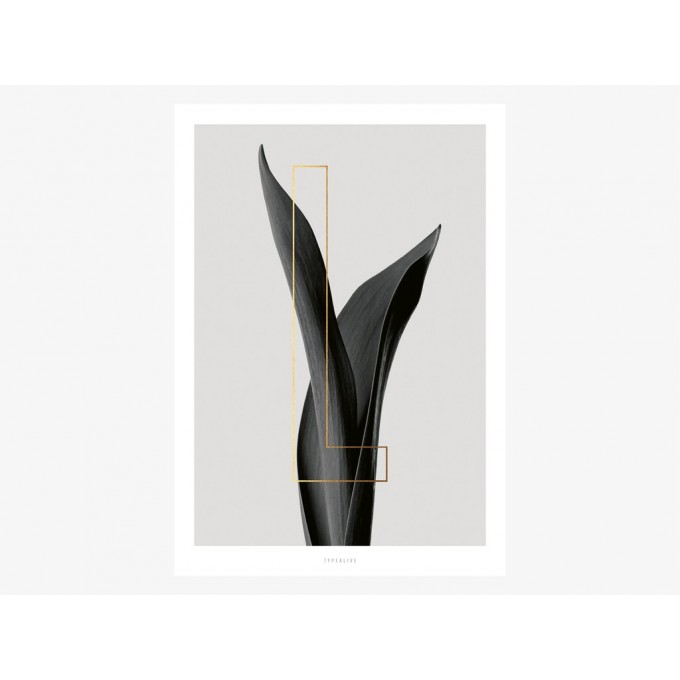 typealive / ABC Plants - L
