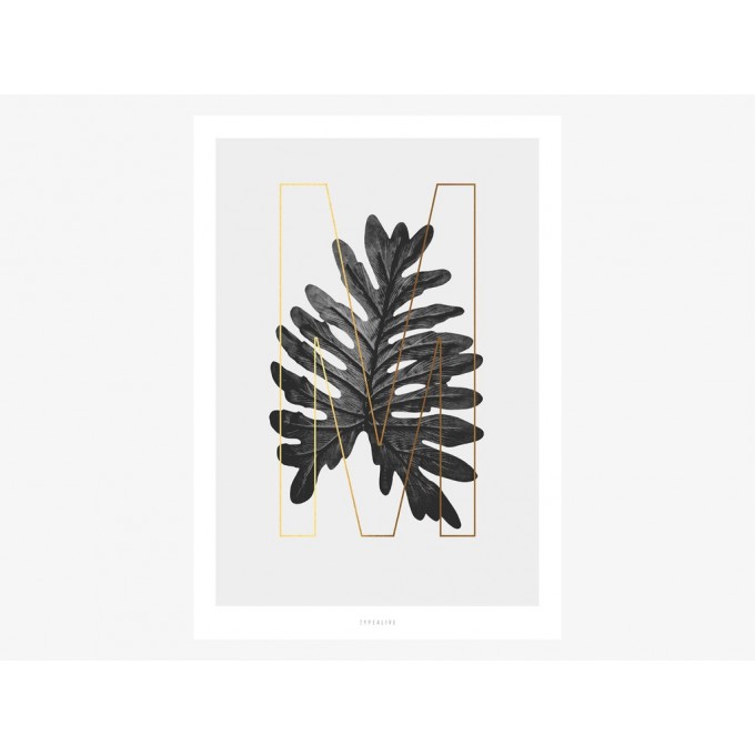 typealive / ABC Plants - M