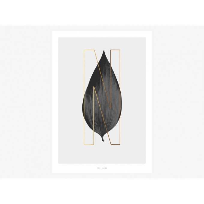 typealive / ABC Plants - N