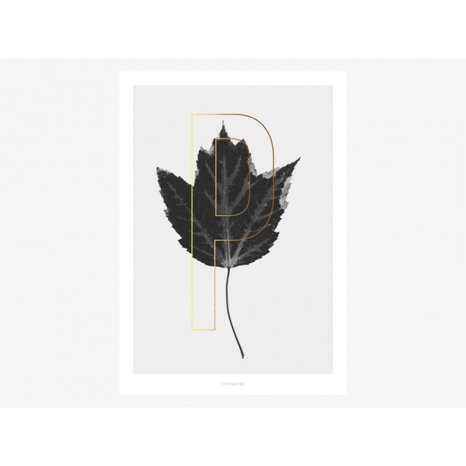 typealive / ABC Plants - P