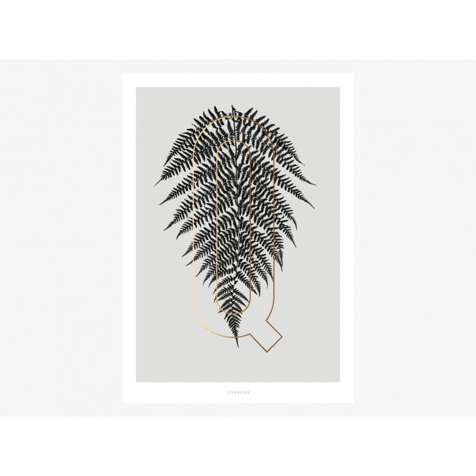 typealive / ABC Plants - Q