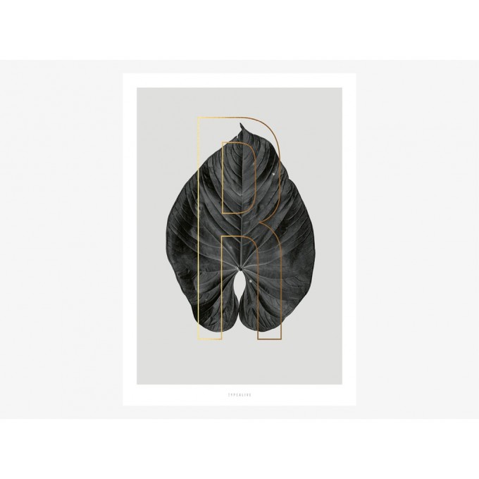 typealive / ABC Plants - R