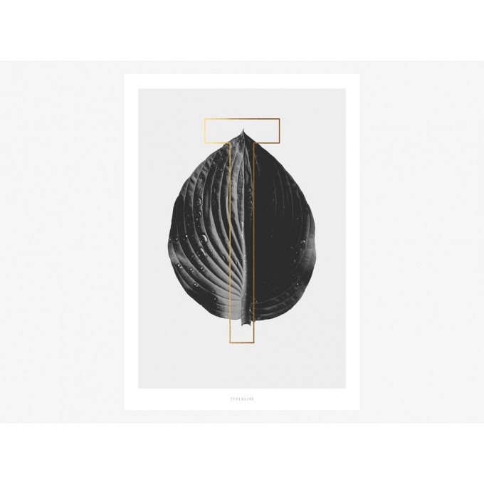 typealive / ABC Plants - T