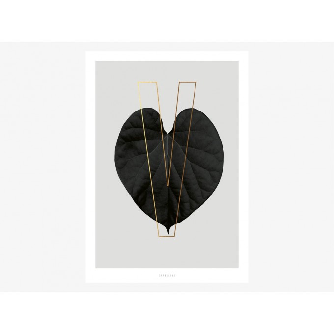 typealive / ABC Plants - V