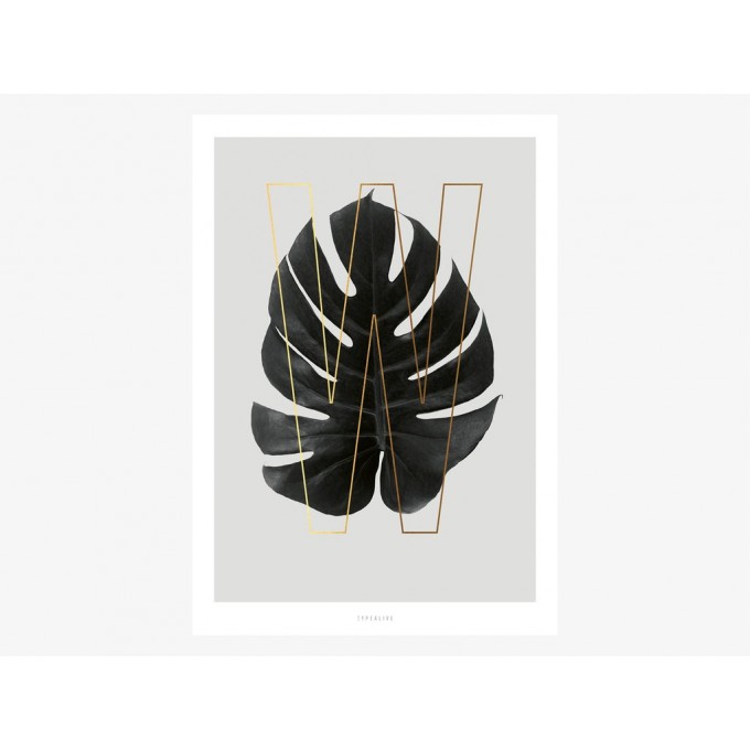 typealive / ABC Plants - W