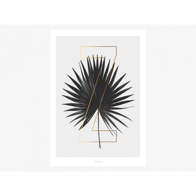 typealive / ABC Plants - Z