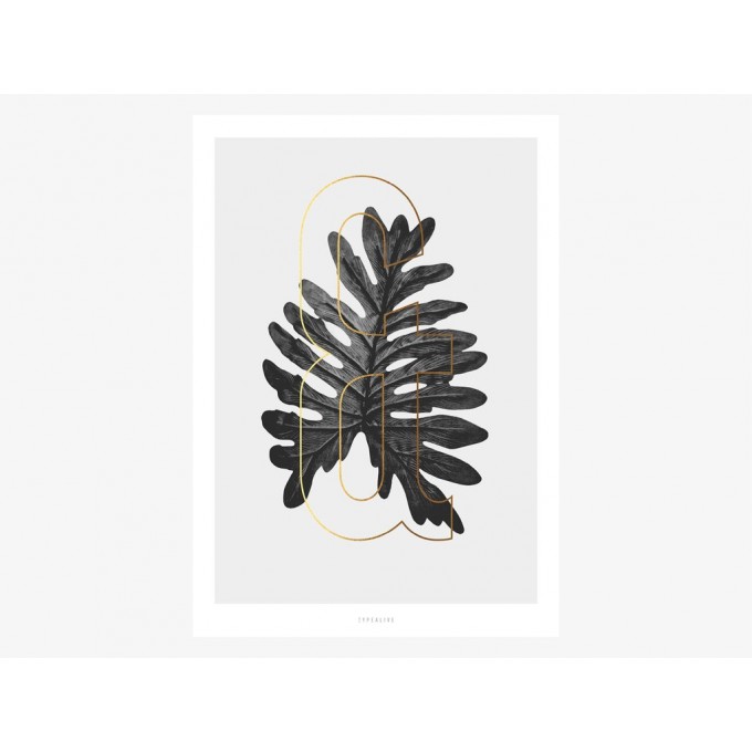 typealive / ABC Plants - &