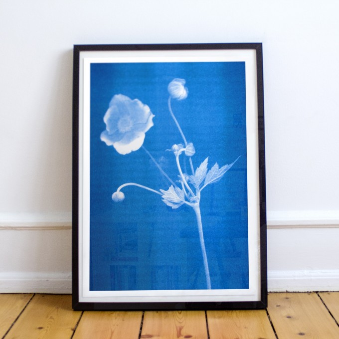 Risographie Poster – ARTPRINT ANEMONE
 – HERR & FRAU RIO