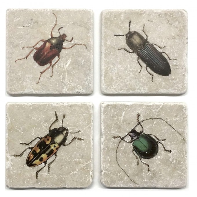 Westpaket Marmoruntersetzer Käfer