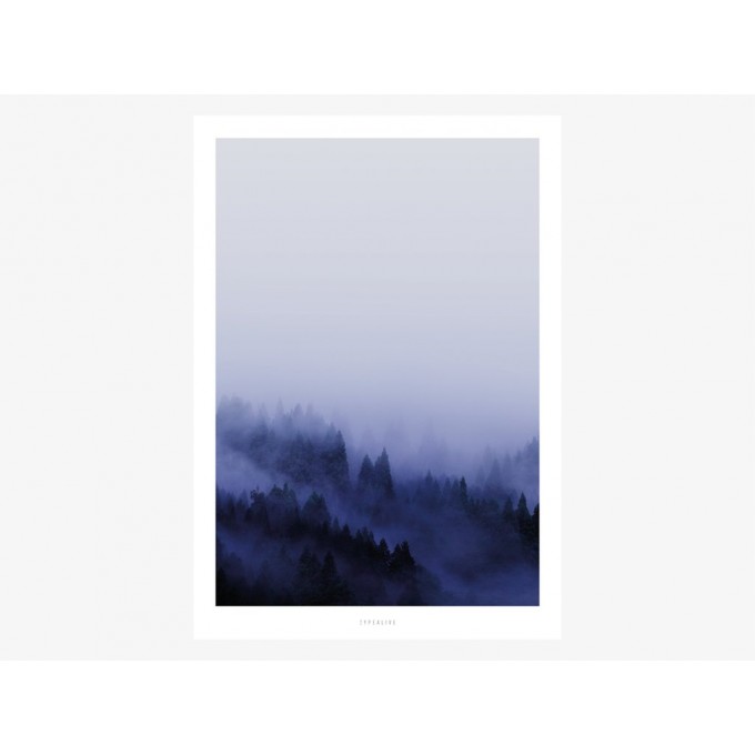 typealive / Bluescape No. 2