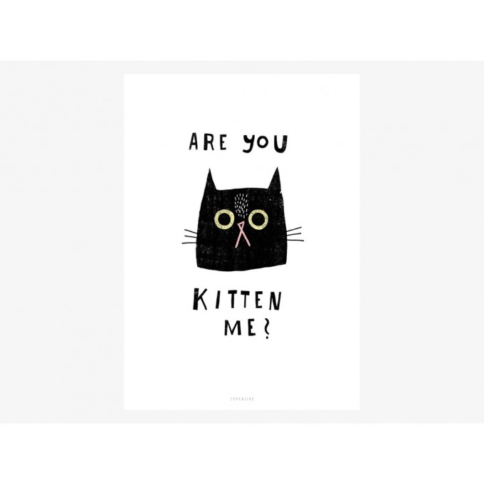 typealive / Catisfaction No. 2