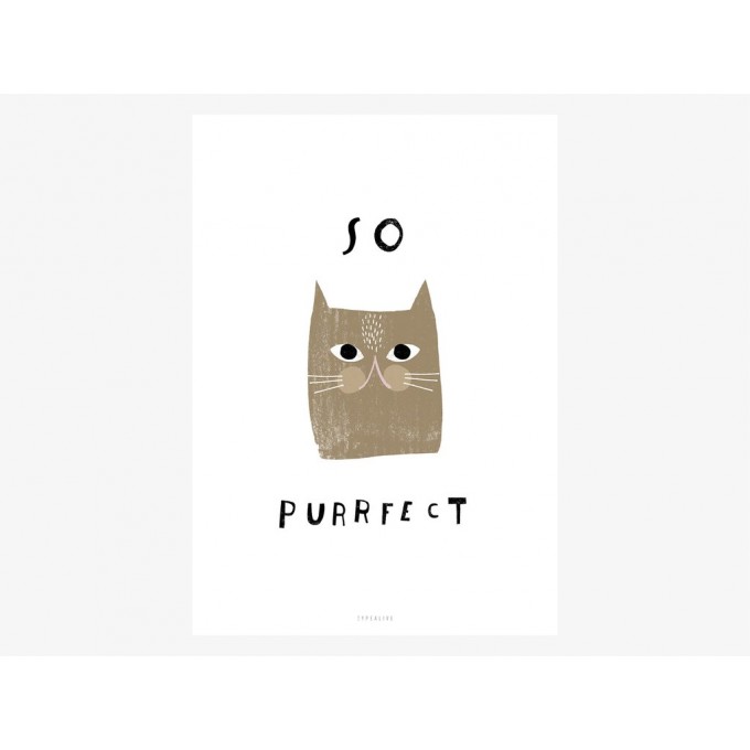 typealive / Catisfaction No. 5