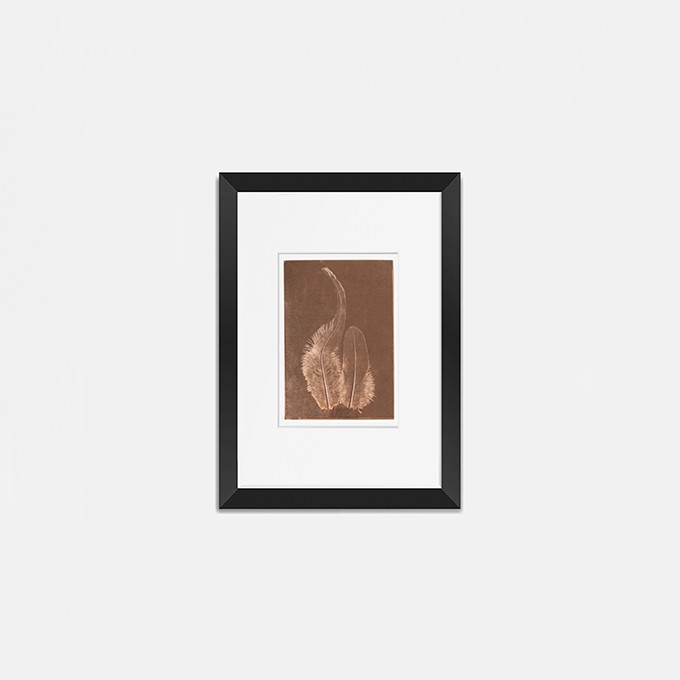 Federbild auf Kupfer, 21x30cm von Christina Pauls