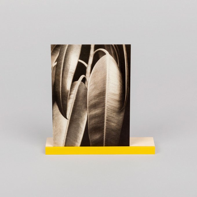 LOOP Postkarten und Fotohalter Gelb / Ahornholz - Corteccia