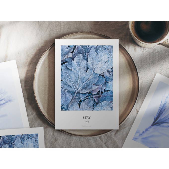 typealive / Weihnachtskarten 4er Set / Frozen Plants