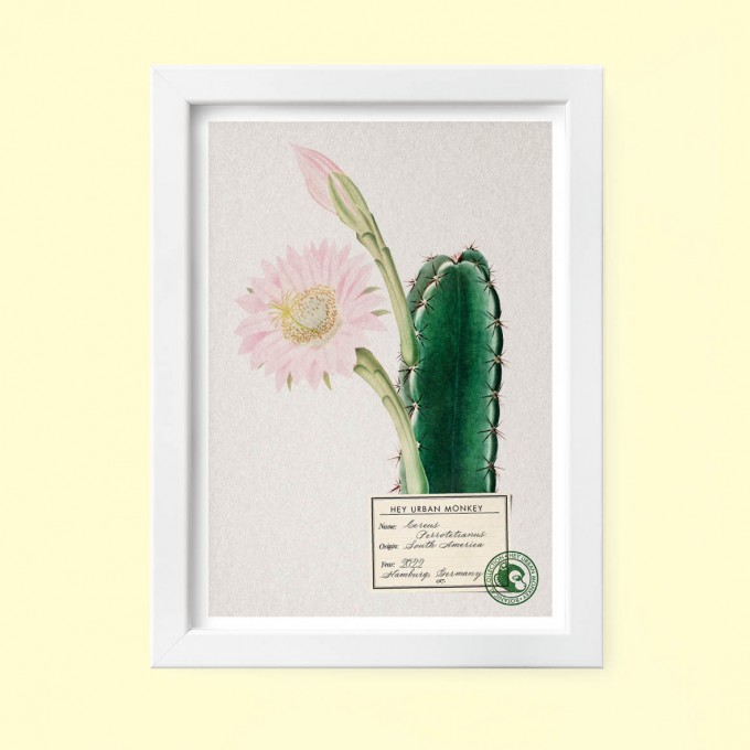 Hey Urban Monkey -A4 Poster -„Cereus Perrotetianus“