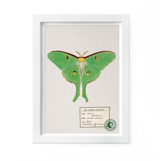 Hey Urban Monkey -A4 Poster -„Luna Phalaena“