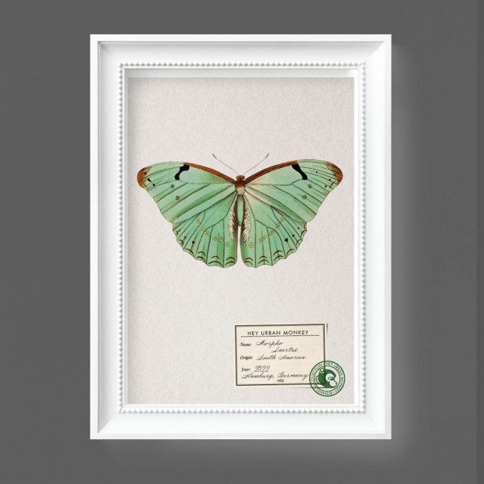 Hey Urban Monkey -A4 Poster -„Morpho Laertes“