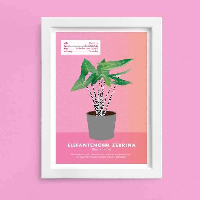 Hey Urban Monkey - A4 Poster - „Elefantenohr Zebrina“
